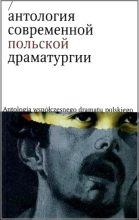 Книга - Анджей  Сарамонович - Тестостерон (fb2) читать без регистрации