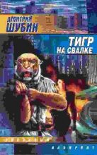 Книга - Дмитрий  Шубин - Тигр на свалке (fb2) читать без регистрации