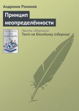 Книга - Андроник  Романов - Принцип неопределённости (fb2) читать без регистрации