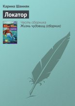 Книга - Карина Сергеевна Шаинян - Локатор (fb2) читать без регистрации