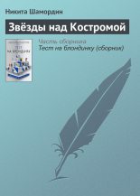 Книга - Никита  Шамордин - Звёзды над Костромой (fb2) читать без регистрации