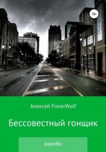 Книга - Алексей Леонидович FreierWolf - Бессовестный гонщик (fb2) читать без регистрации