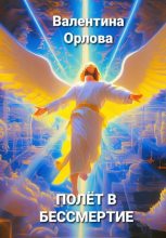 Книга - Валентина  Орлова - Полёт в бессмертие (fb2) читать без регистрации