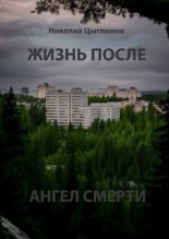 Книга - Н. А. Цыглимов - Жизнь после. Ангел Смерти (fb2) читать без регистрации