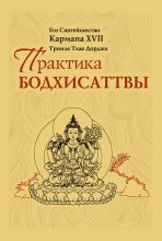 Книга - Тринле Тхае Дордже  Кармапа XVII - Практика Бодхисаттвы (fb2) читать без регистрации