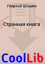 Книга - Георгий  Шишко - Странная книга (fb2) читать без регистрации