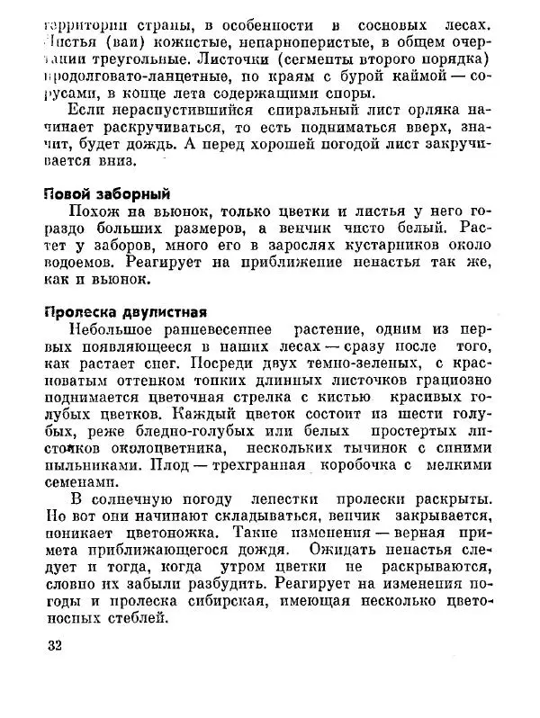 Степан Мацюцкий - Туристу о растениях - Страница № 33