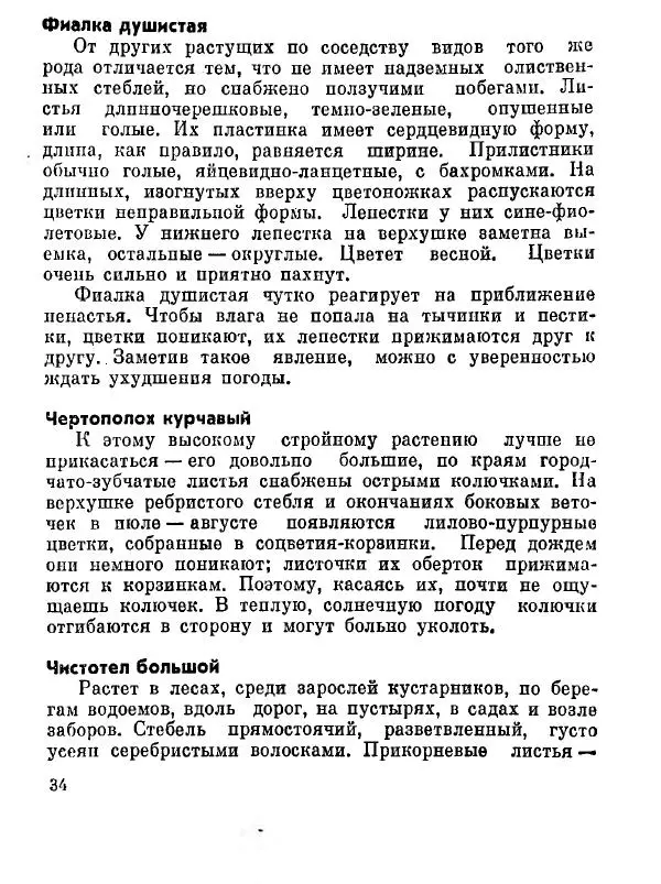 Степан Мацюцкий - Туристу о растениях - Страница № 35