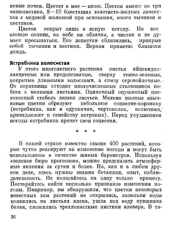 Степан Мацюцкий - Туристу о растениях - Страница № 37