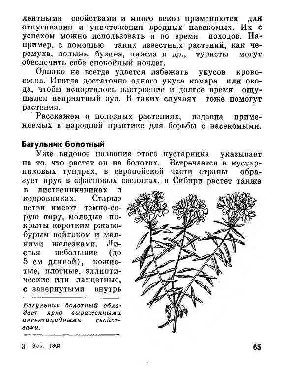 Степан Мацюцкий - Туристу о растениях - Страница № 66