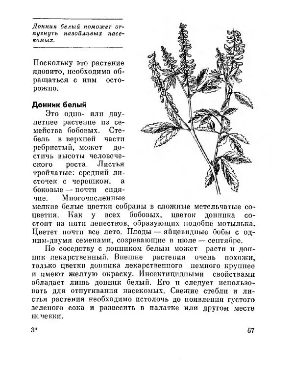 Степан Мацюцкий - Туристу о растениях - Страница № 68
