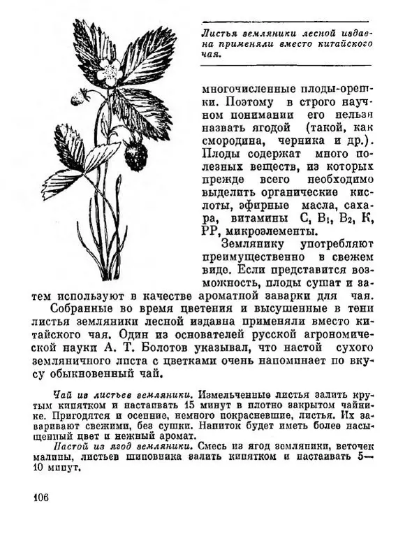 Степан Мацюцкий - Туристу о растениях - Страница № 107