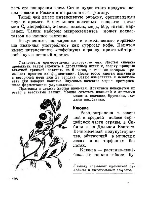 Степан Мацюцкий - Туристу о растениях - Страница № 109