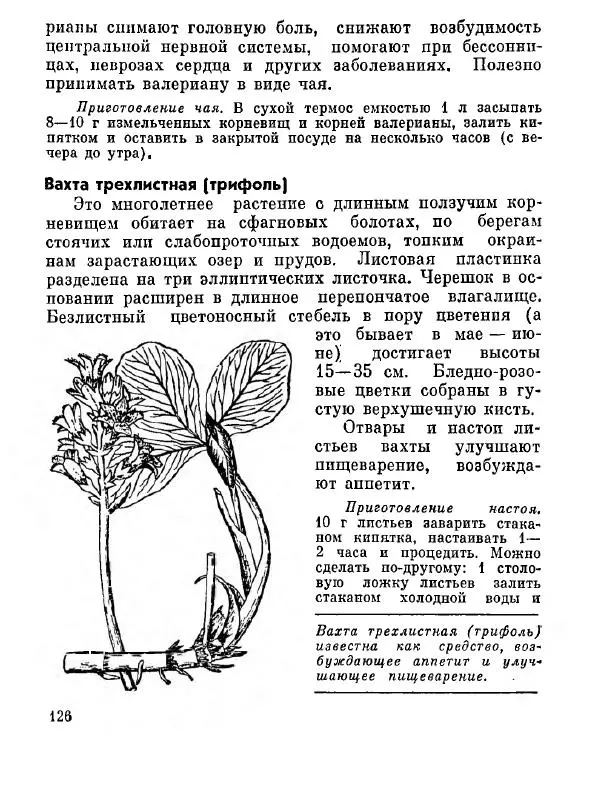 Степан Мацюцкий - Туристу о растениях - Страница № 127