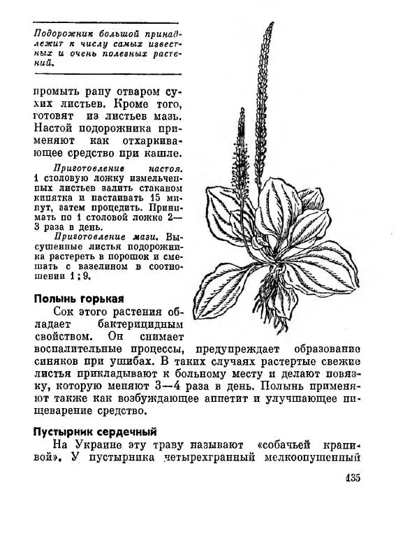 Степан Мацюцкий - Туристу о растениях - Страница № 136