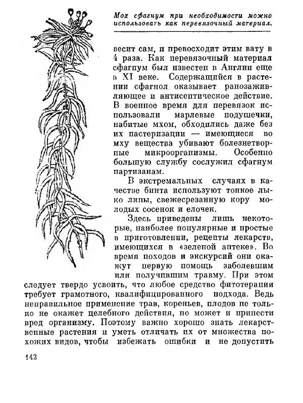 Степан Мацюцкий - Туристу о растениях - Страница № 143