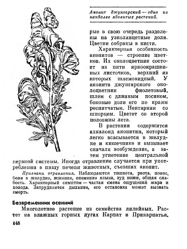 Степан Мацюцкий - Туристу о растениях - Страница № 147