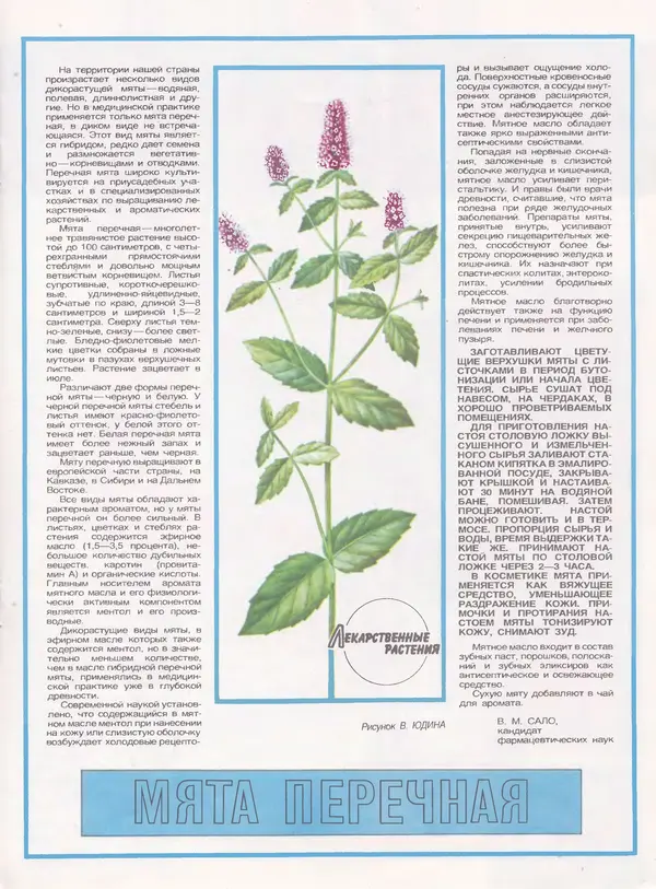  Журнал «Здоровье» - Здоровье 1985 №02 - Страница № 19