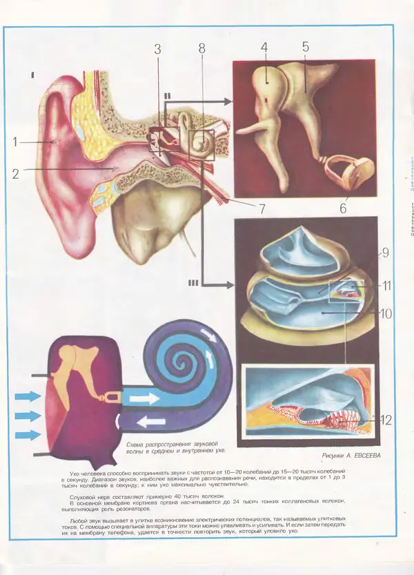  Журнал «Здоровье» - Здоровье 1985 №02 - Страница № 22