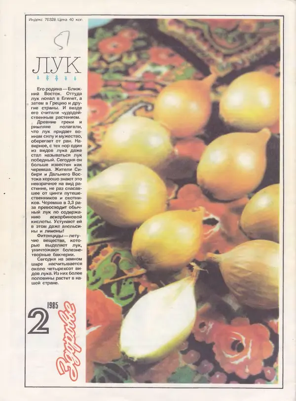  Журнал «Здоровье» - Здоровье 1985 №02 - Страница № 40