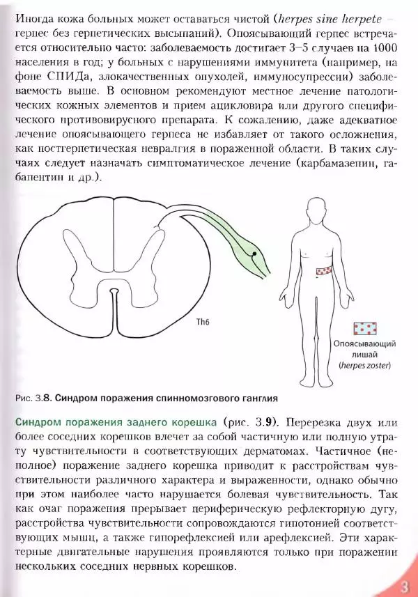 Коллектив авторов - Топический диагноз в неврологии по Петеру Дуусу - Страница № 93 Коллектив авторов - Топический диагноз в неврологии по Петеру Дуусу - Страница № 93