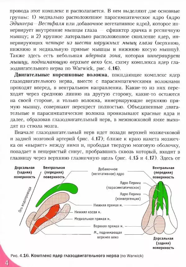 Коллектив авторов - Топический диагноз в неврологии по Петеру Дуусу - Страница № 170 Коллектив авторов - Топический диагноз в неврологии по Петеру Дуусу - Страница № 170