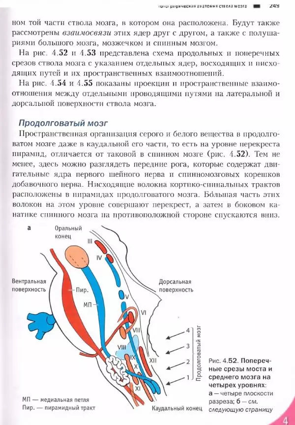 Коллектив авторов - Топический диагноз в неврологии по Петеру Дуусу - Страница № 249 Коллектив авторов - Топический диагноз в неврологии по Петеру Дуусу - Страница № 249