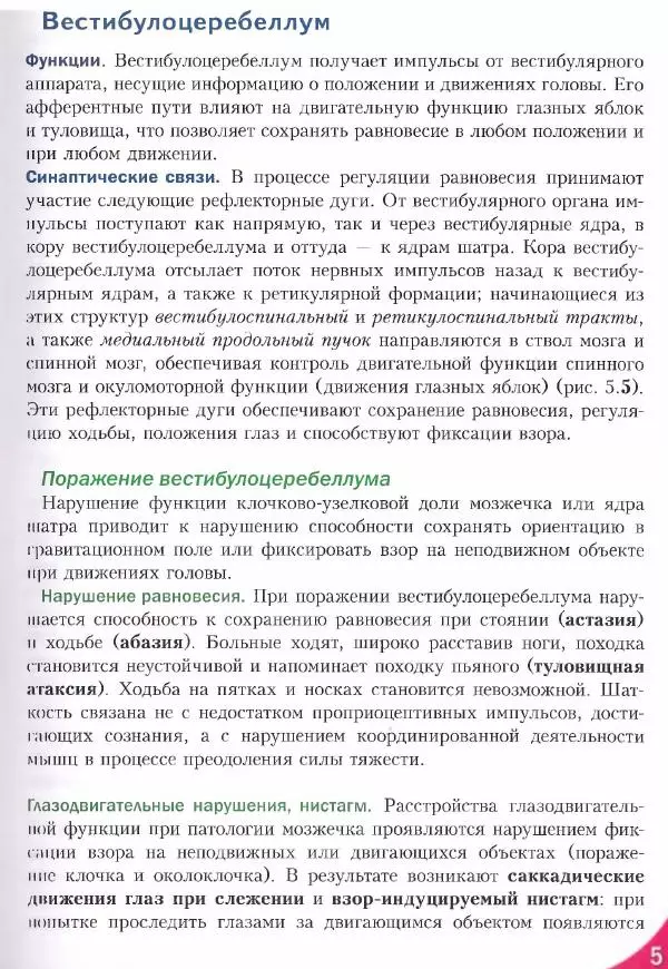 Коллектив авторов - Топический диагноз в неврологии по Петеру Дуусу - Страница № 297 Коллектив авторов - Топический диагноз в неврологии по Петеру Дуусу - Страница № 297