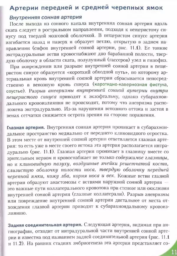 Коллектив авторов - Топический диагноз в неврологии по Петеру Дуусу - Страница № 494 Коллектив авторов - Топический диагноз в неврологии по Петеру Дуусу - Страница № 494