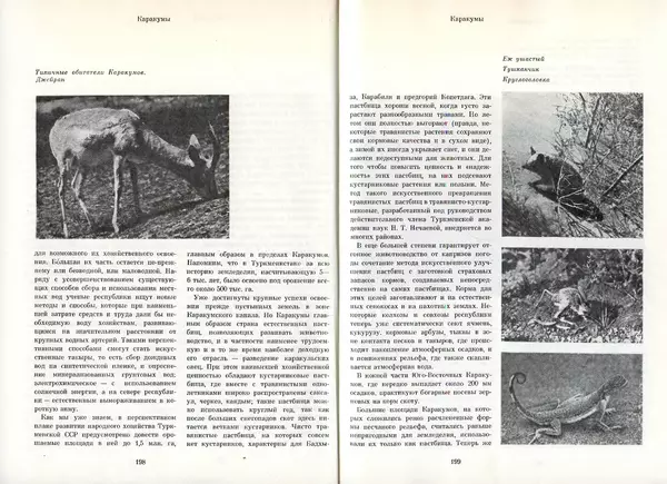  Коллектив авторов - Туркменистан - Страница № 106