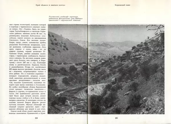  Коллектив авторов - Туркменистан - Страница № 118