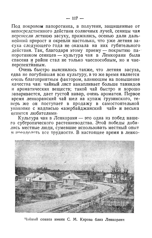 Александр Гроссгейм - В горах Талыша - Страница № 119