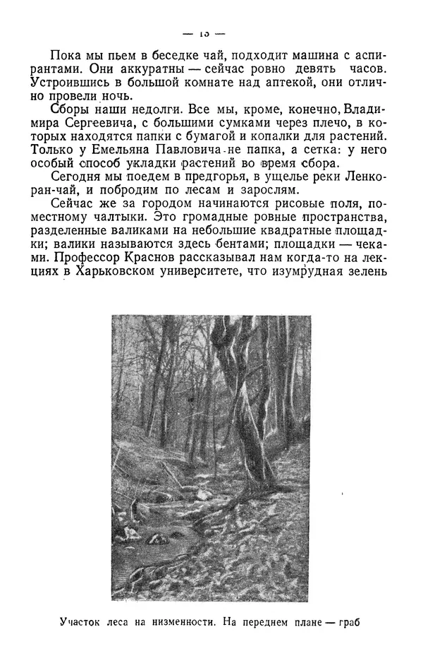 Александр Гроссгейм - В горах Талыша - Страница № 15
