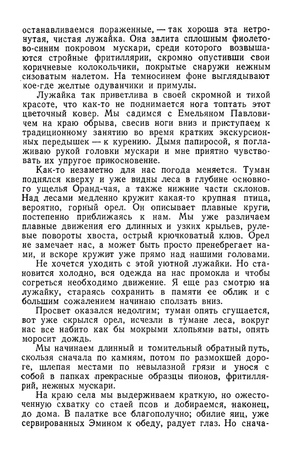 Александр Гроссгейм - В горах Талыша - Страница № 81