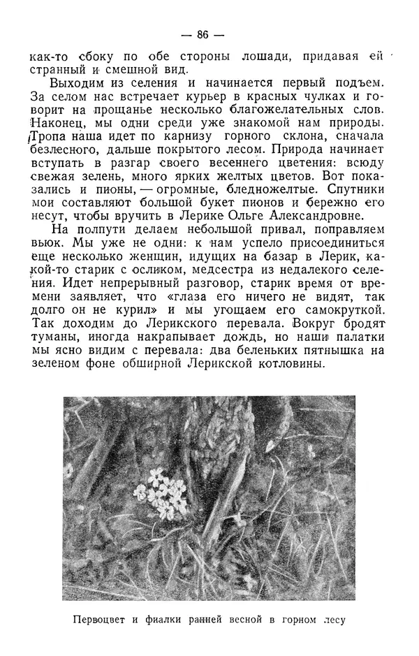 Александр Гроссгейм - В горах Талыша - Страница № 88