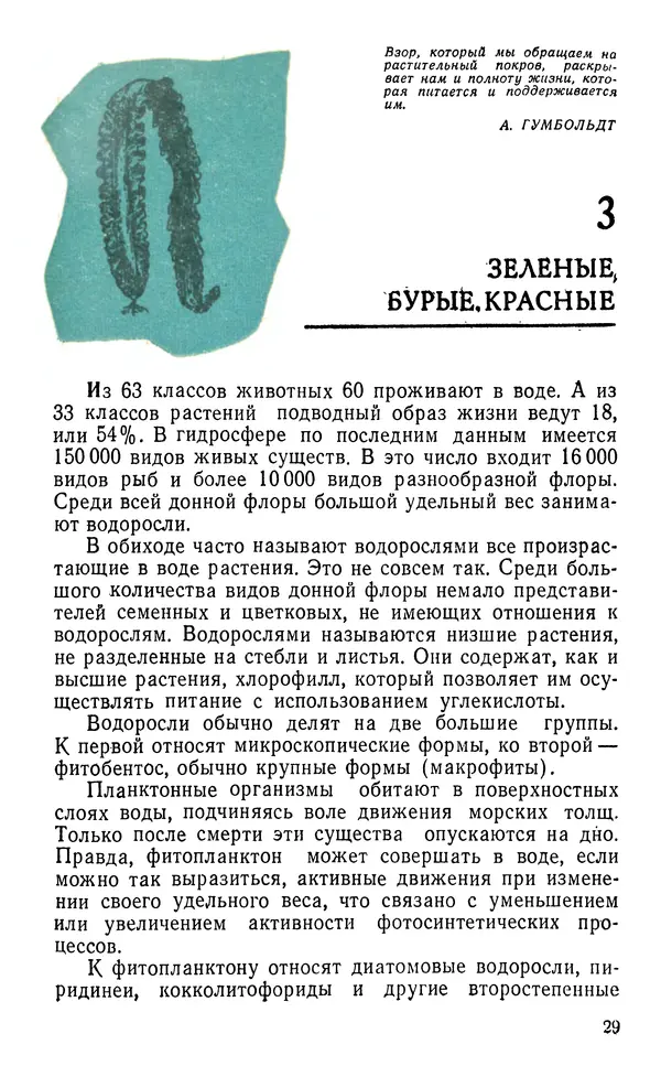 Виктор Казьмин - Морские сокровища - Страница № 30