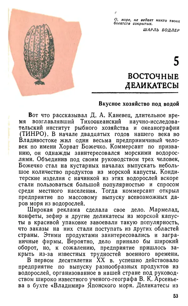 Виктор Казьмин - Морские сокровища - Страница № 54