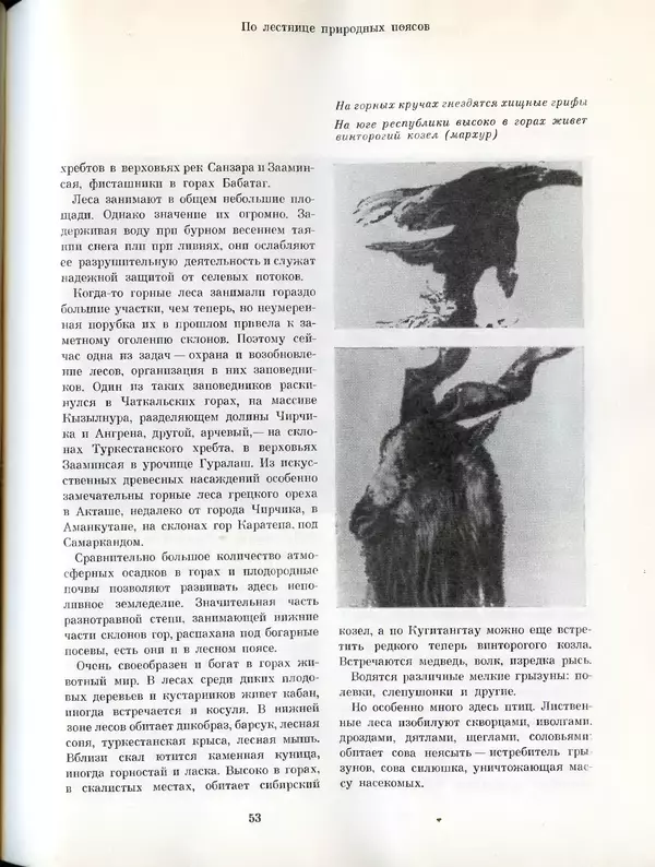  Коллектив авторов - Узбекистан - Страница № 52