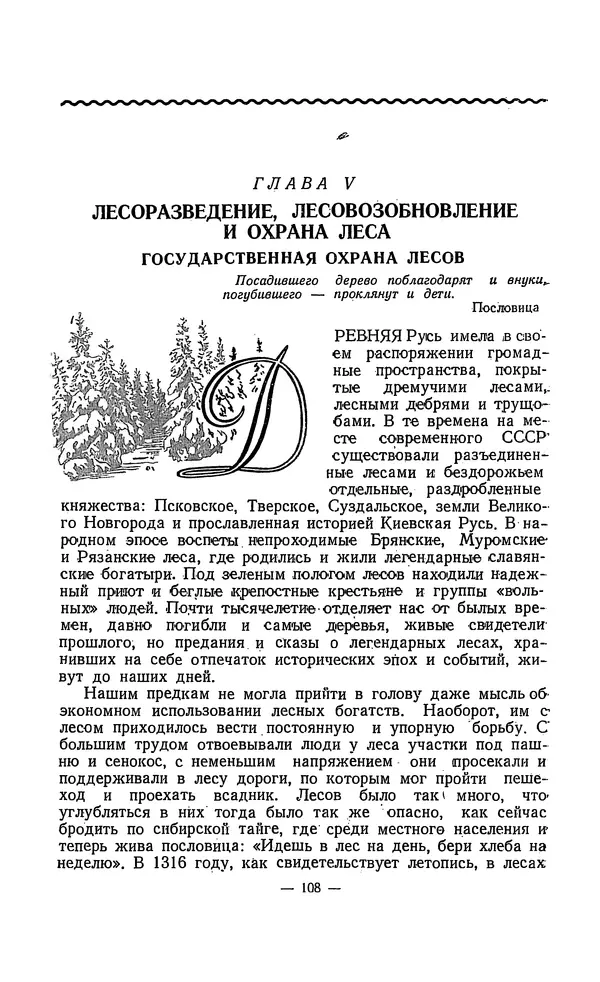 Владимир Некрасов - Лес - Страница № 122