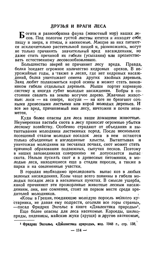 Владимир Некрасов - Лес - Страница № 130