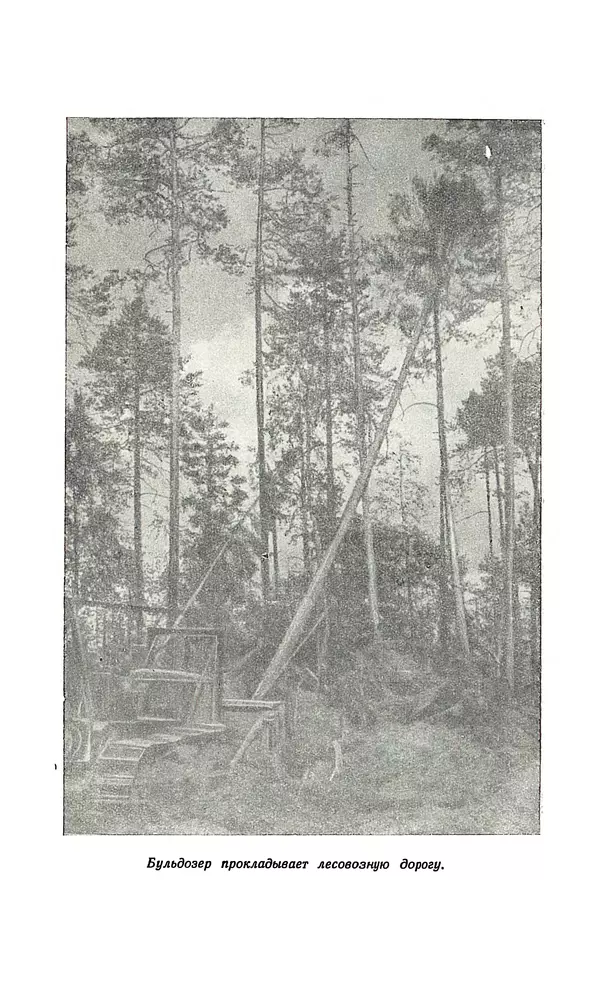 Владимир Некрасов - Лес - Страница № 145