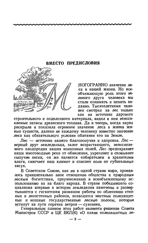 Владимир Некрасов - Лес - Страница № 5