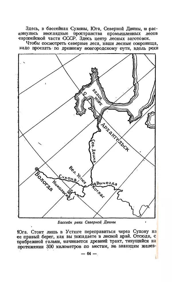 Владимир Некрасов - Лес - Страница № 72