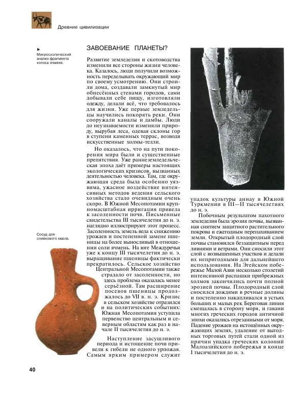  Энциклопедия для детей Аванта+ - Энциклопедия для детей. Том 31. Древние цивилизации - Страница № 41