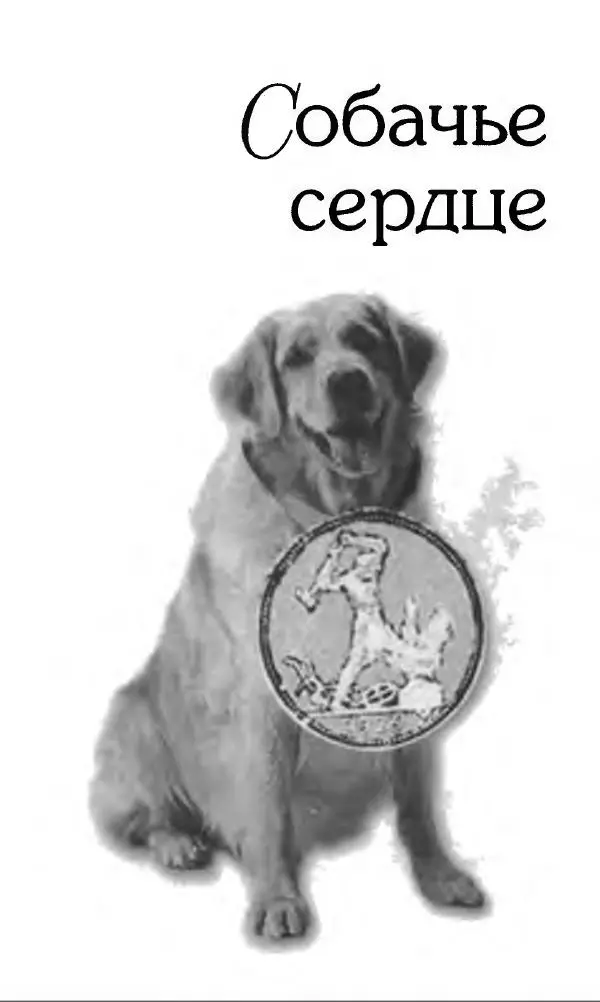 Михаил Булгаков - Булгаков Михаил - Страница № 417