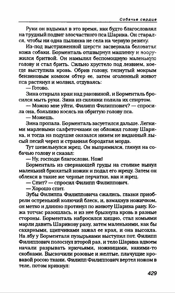 Михаил Булгаков - Булгаков Михаил - Страница № 457