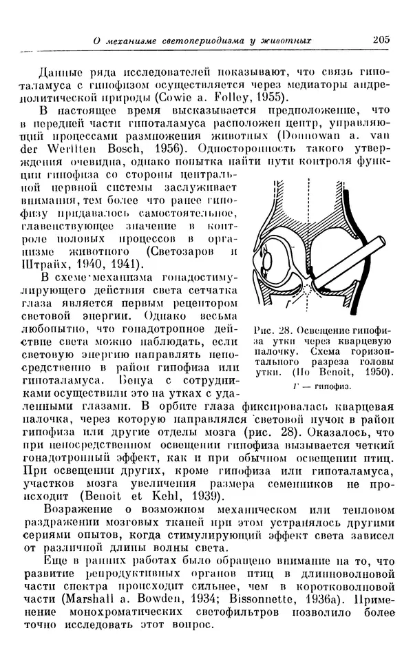 Михаил Лобашев - Физиология суточного ритма животных - Страница № 206
