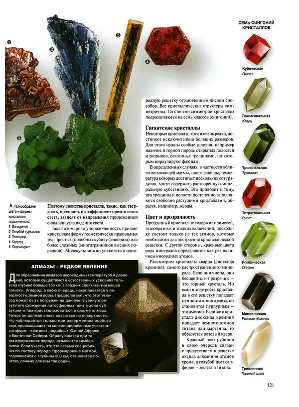  Коллектив авторов - Удивительная жизнь природы - Страница № 124