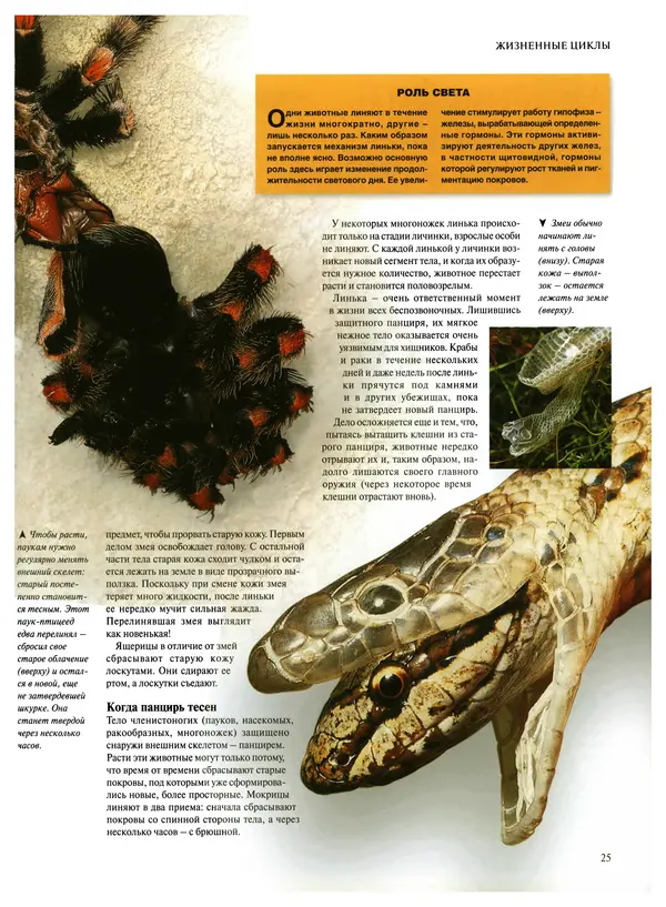  Коллектив авторов - Удивительная жизнь природы - Страница № 28