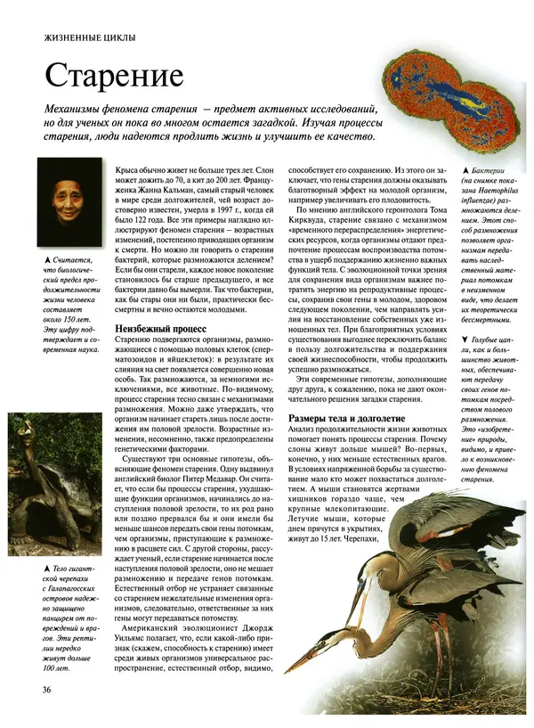  Коллектив авторов - Удивительная жизнь природы - Страница № 39